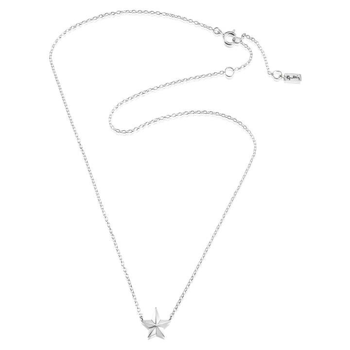 Catch A Falling Star Single Collier Argent 40-45 cm dans le groupe Collier / Collier en argent chez SCANDINAVIAN JEWELRY DESIGN (10-100-01943-4045)
