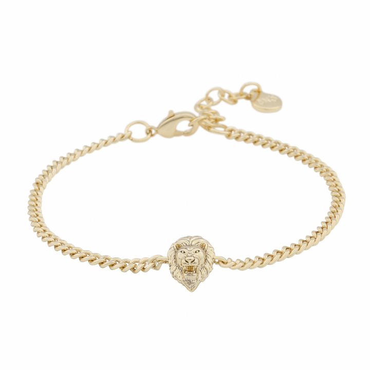 Oz lion chain brace plain Gold-Onesize dans le groupe Bracelet / Bracelet en or chez SCANDINAVIAN JEWELRY DESIGN (1286-3400-257-ONE)