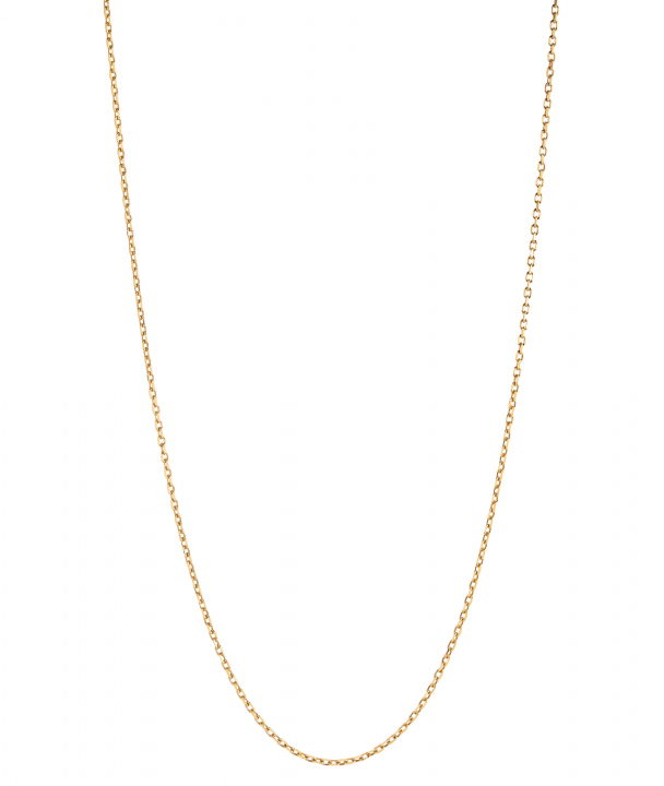 Chain 50 Adjustable Necklace 50 Goldplated Silver (One) dans le groupe Collier / Collier en or chez SCANDINAVIAN JEWELRY DESIGN (300370YG-50)
