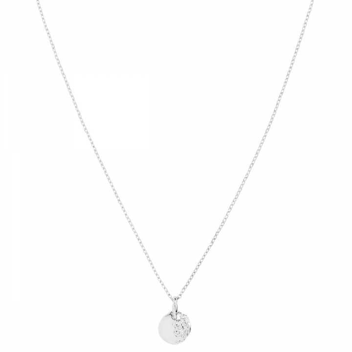 Aspen 50 Necklace Silver (One) dans le groupe Collier / Collier en argent chez SCANDINAVIAN JEWELRY DESIGN (300460AG-50)