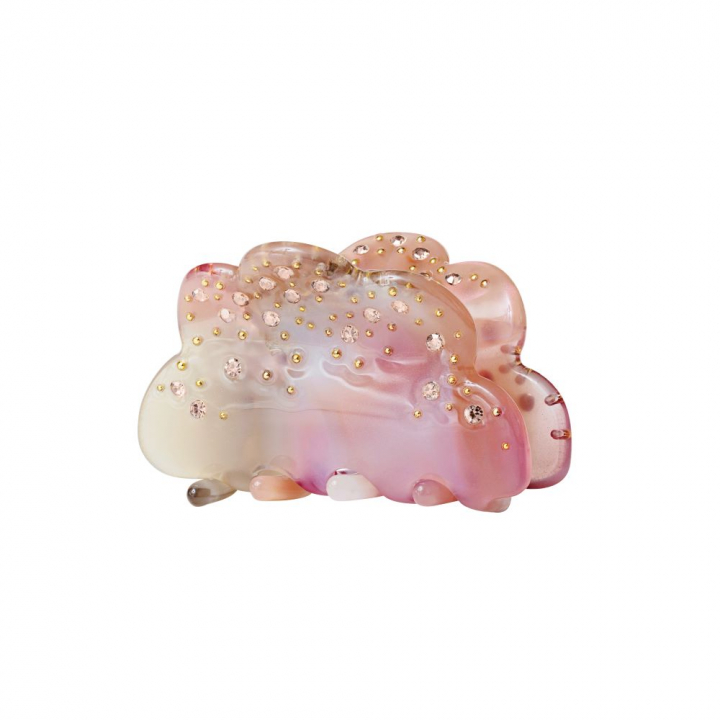 Sally hairclaw Orchid dans le groupe Accessoires chez SCANDINAVIAN JEWELRY DESIGN (3658)