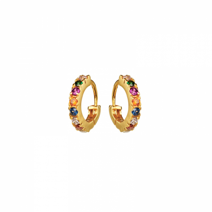Nubia Color Boucle d'oreille (Or) dans le groupe Boucles d'oreilles / Boucles d'oreilles en or chez SCANDINAVIAN JEWELRY DESIGN (9337a)