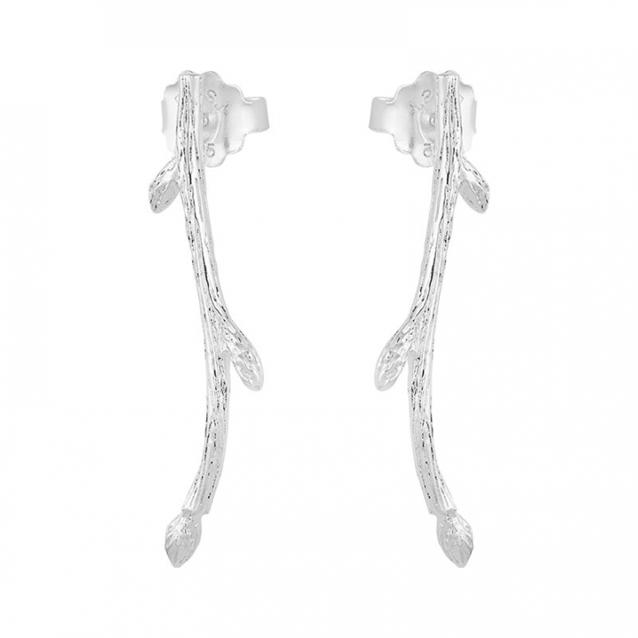 Branch earrings dans le groupe Boucles d'oreilles / Boucles d'oreilles en argent chez SCANDINAVIAN JEWELRY DESIGN (BAH-E2M000-S)