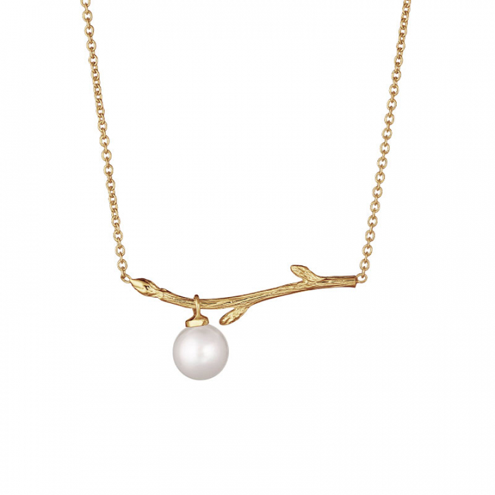 Branch pearl necklace gold dans le groupe Boucles d'oreilles / Boucles d'oreilles en or chez SCANDINAVIAN JEWELRY DESIGN (BAH-N1M2501-G)