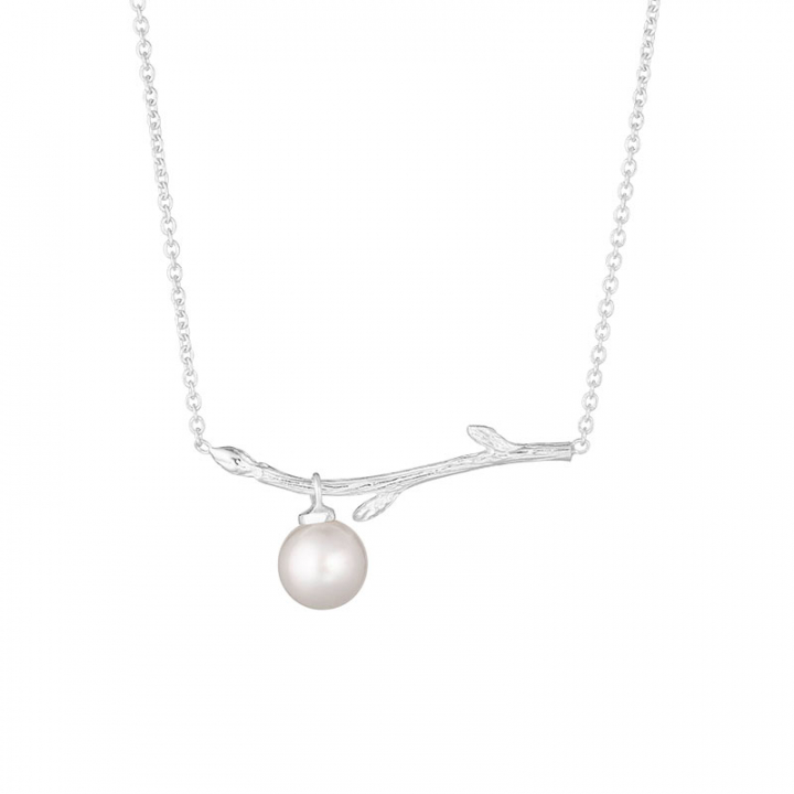 Branch pearl necklace dans le groupe Collier / Collier en argent chez SCANDINAVIAN JEWELRY DESIGN (BAH-N1M2501-S)