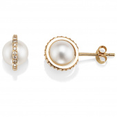 Day Pearl & Stars Boucle d'oreille Or
