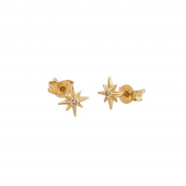 One star small Boucle d'oreille Or