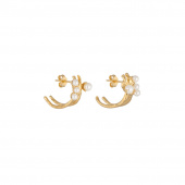 Pearl kluster Boucle d'oreille Or